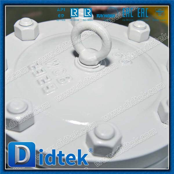 Galaxy Expansion Phase III Project Project Chemical Terminal Swing Check Valve