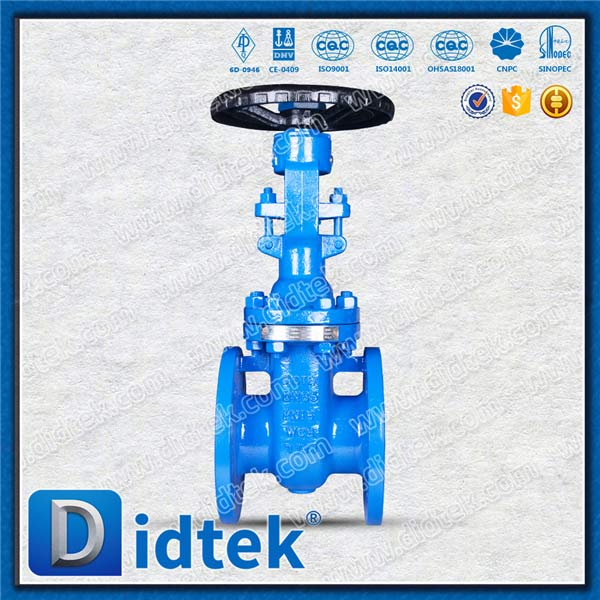 Din Gate Valve-DN65, WCB, ล้อมือ, หน้าแปลน