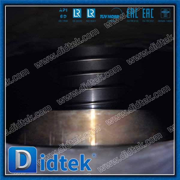 1.0619 Globe Check Valve