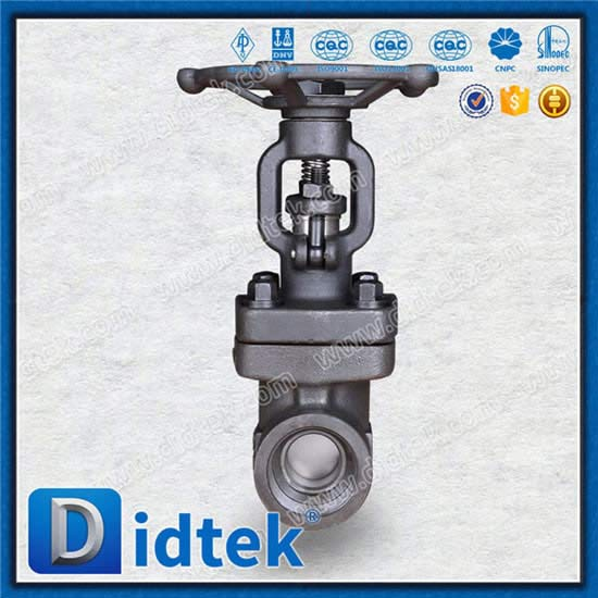 Bonnet Bonnet Forged Gate Valve