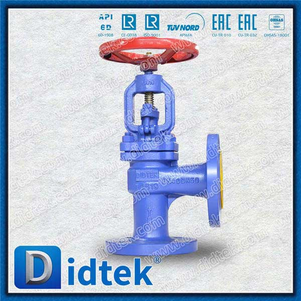 1.0619 SDNR ANGLE GLOBE CHECK VALVE