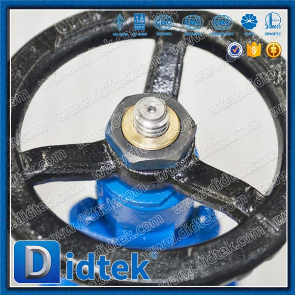 Din Gate Valve-DN65, WCB, ล้อมือ, หน้าแปลน