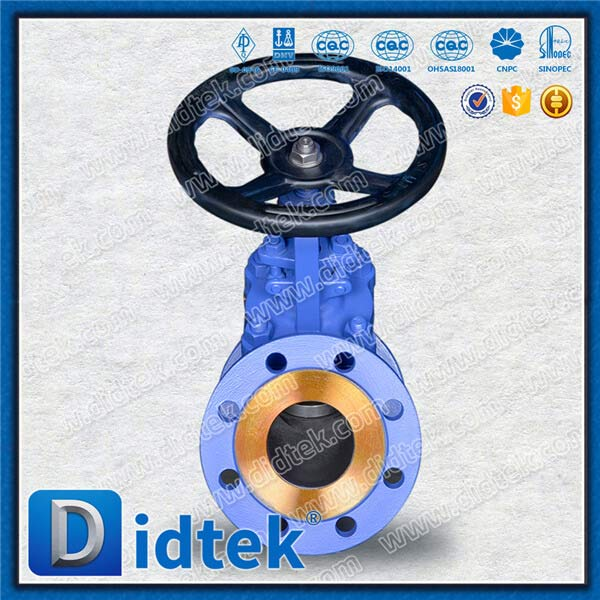 DIN ควบคุม Disc Y-type Globe Valve