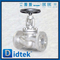 Din Globe Valve-DN50 1.4408 หน้าแปลนมือล้อมือ