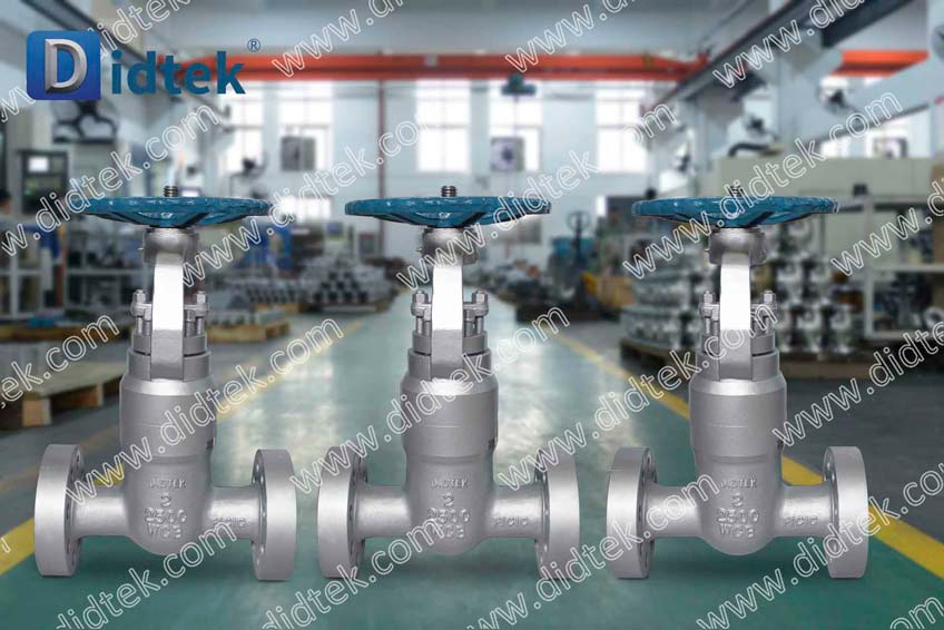 DIDTEK Casting Steel 2500lb WCB Valve Gate Valve