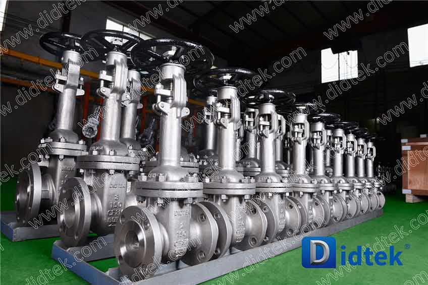 DIDTEK Cryogenic Extension Stem Cast Steel Gate Valve