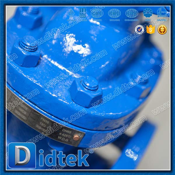 Din Gate Valve-DN65, WCB, ล้อมือ, หน้าแปลน