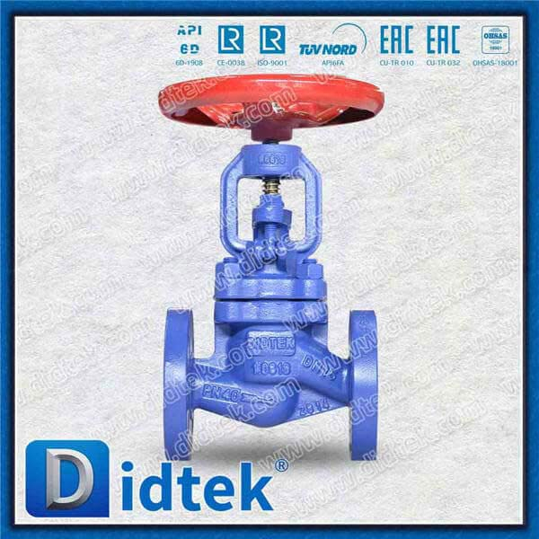 1.0619 Globe Check Valve